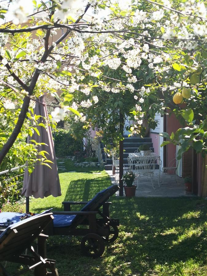 Florinda Lemon'S Suite Cervo Eksteriør billede